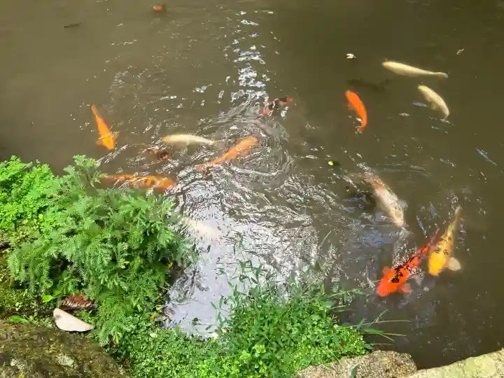 正法寺(滋賀県)