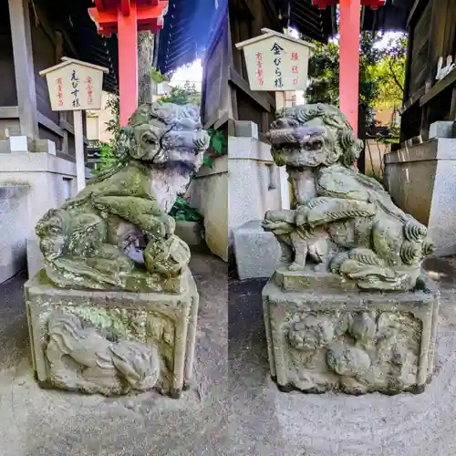 千葉神社の狛犬