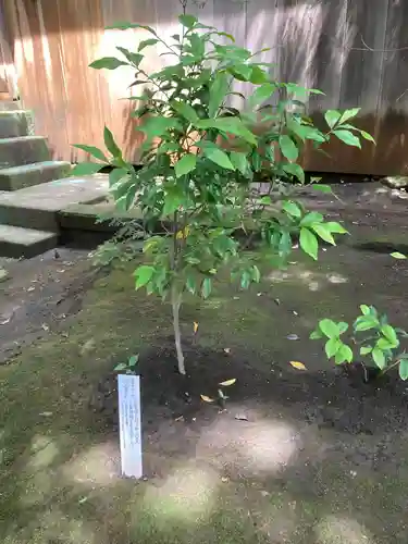 鉾宮神社（鶴嶺八幡宮境内社）(神奈川県)