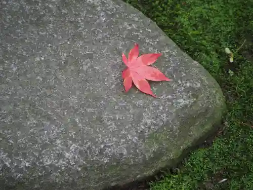 長壽寺（長寿寺）(神奈川県)