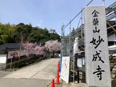 妙成寺の{uncategorized: "未分類", other: "その他", undefined: "問題あり", building: "その他建物", grave: "お墓", sacred_gate: "鳥居", guardian: "狛犬", statue: "像", buddha: "仏像", history: "歴史", nature: "自然", garden: "庭園", animal: "動物", pagoda: "塔", temizu: "手水舎", mountain_gate: "山門・神門", sanctuary: "本殿・本堂", subordinate: "末社・摂社", art: "芸術", scenery: "景色", jizo: "地蔵", ema: "絵馬", goshuin: "御朱印", omikuji: "おみくじ", items: "授与品その他", amulet: "お守り", goshuincho: "御朱印帳", eats: "食事", festival: "お祭り", votive_dance: "神楽", shichigosan: "七五三参", wedding: "結婚式", experience: "体験その他", initially: "初詣", around: "周辺", anti_infection: "感染症対策"}
