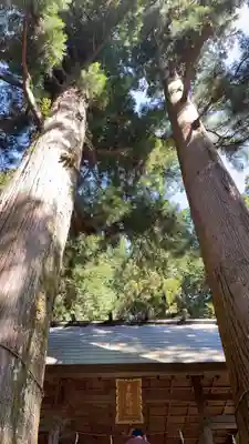 恵那神社(岐阜県)