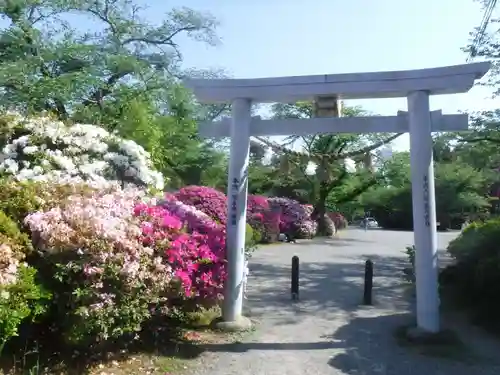 霊犬神社の鳥居