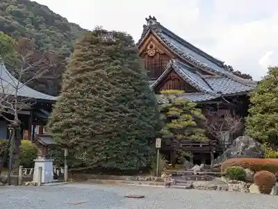 松尾大社(京都府)