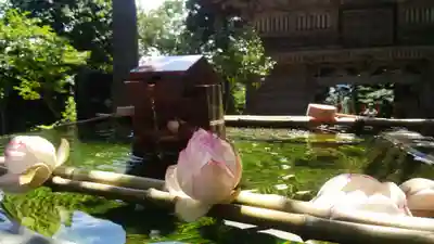 慈恩寺(山形県)