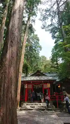 椿大神社の本殿・本堂