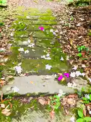 白瀧神社(茨城県)