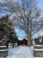 中の島神社(北海道)