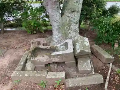 嚴島神社(千葉県)
