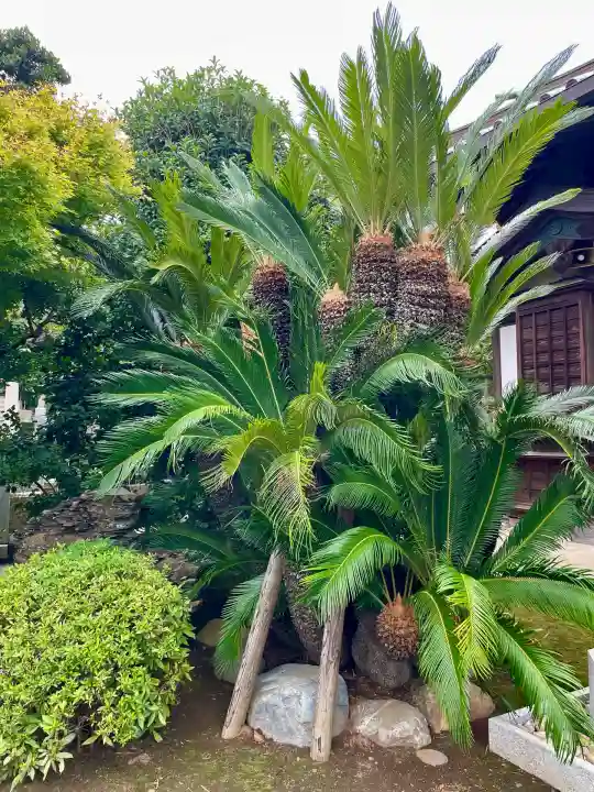 本瑞寺(神奈川県)