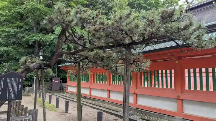 荒熊白髭稲荷神社の自然