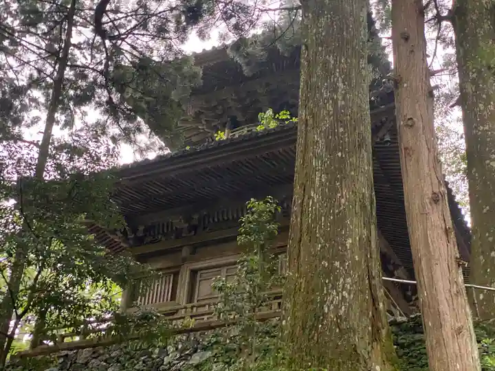 太龍寺(徳島県)