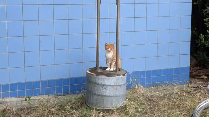 聖天神社(聖天上人像社)の動物