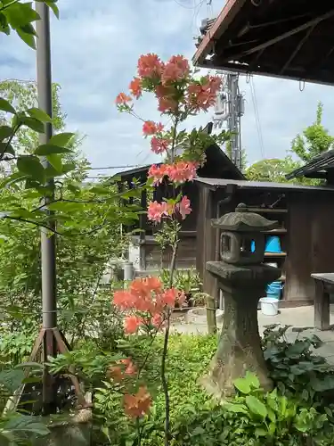 青龍寺(京都府)