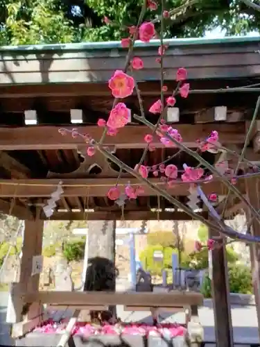鳩森八幡神社(東京都)