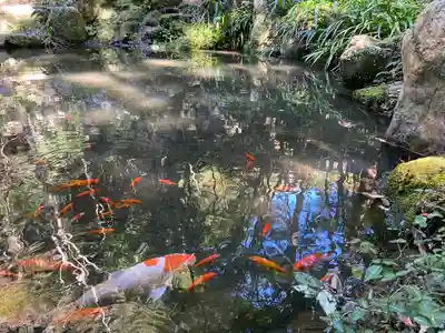 大矢田神社(岐阜県)