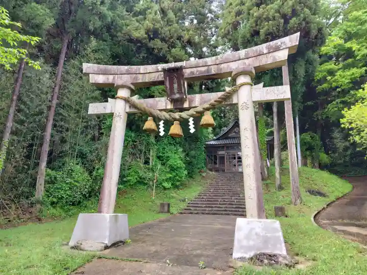 大宮神社の{uncategorized: "未分類", other: "その他", undefined: "問題あり", building: "その他建物", grave: "お墓", sacred_gate: "鳥居", guardian: "狛犬", statue: "像", buddha: "仏像", history: "歴史", nature: "自然", garden: "庭園", animal: "動物", pagoda: "塔", temizu: "手水舎", mountain_gate: "山門・神門", sanctuary: "本殿・本堂", subordinate: "末社・摂社", art: "芸術", scenery: "景色", jizo: "地蔵", ema: "絵馬", goshuin: "御朱印", omikuji: "おみくじ", items: "授与品その他", amulet: "お守り", goshuincho: "御朱印帳", eats: "食事", festival: "お祭り", votive_dance: "神楽", shichigosan: "七五三参", wedding: "結婚式", experience: "体験その他", initially: "初詣", around: "周辺", anti_infection: "感染症対策"}