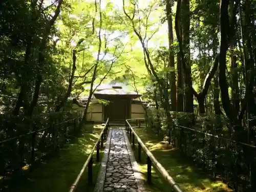 高桐院の建物その他