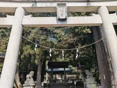 知井八幡神社の{uncategorized: "未分類", other: "その他", undefined: "問題あり", building: "その他建物", grave: "お墓", sacred_gate: "鳥居", guardian: "狛犬", statue: "像", buddha: "仏像", history: "歴史", nature: "自然", garden: "庭園", animal: "動物", pagoda: "塔", temizu: "手水舎", mountain_gate: "山門・神門", sanctuary: "本殿・本堂", subordinate: "末社・摂社", art: "芸術", scenery: "景色", jizo: "地蔵", ema: "絵馬", goshuin: "御朱印", omikuji: "おみくじ", items: "授与品その他", amulet: "お守り", goshuincho: "御朱印帳", eats: "食事", festival: "お祭り", votive_dance: "神楽", shichigosan: "七五三参", wedding: "結婚式", experience: "体験その他", initially: "初詣", around: "周辺", anti_infection: "感染症対策"}