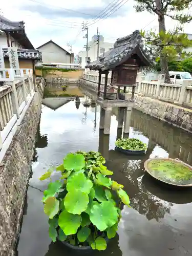 善通寺の建物その他