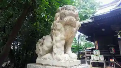 小金井神社の狛犬