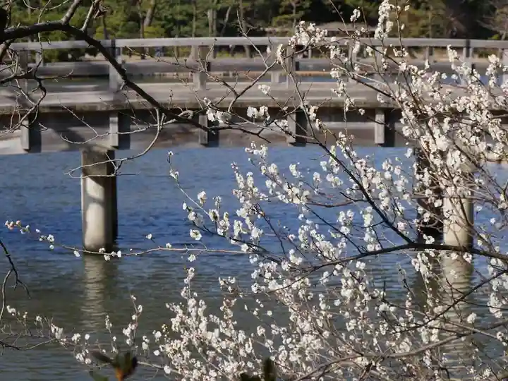 三渓園天満宮の自然