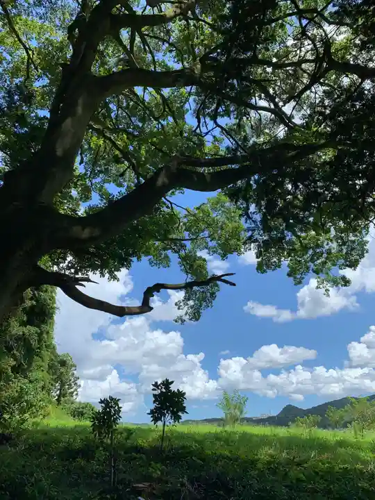 大井神社(太郎神社)(茨城県)