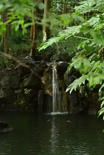 武蔵一宮氷川神社の庭園