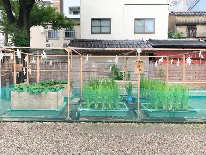 浅草神社の庭園