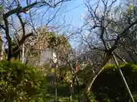 荏柄天神社の自然