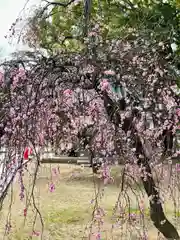 屯倉神社(大阪府)