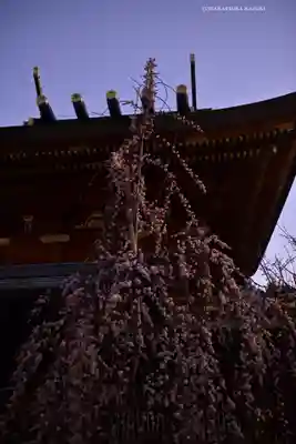 湯島天満宮(東京都)