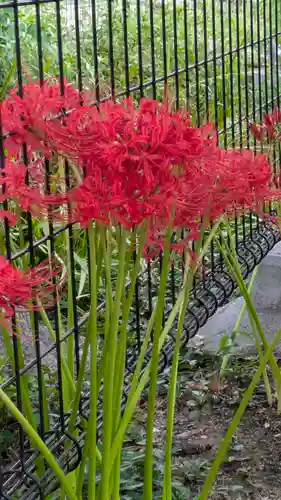 杭全神社(大阪府)