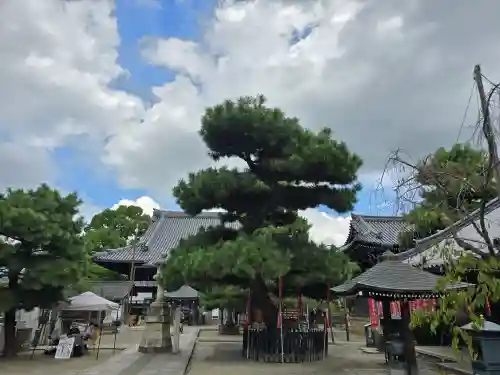 葛井寺(大阪府)