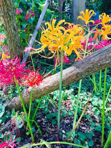 祖光院(千葉県)