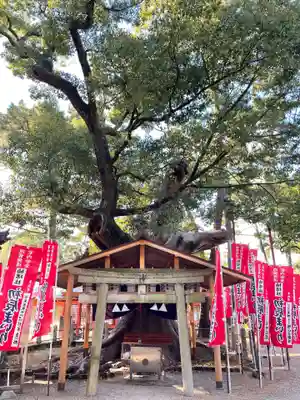 住吉大社(大阪府)