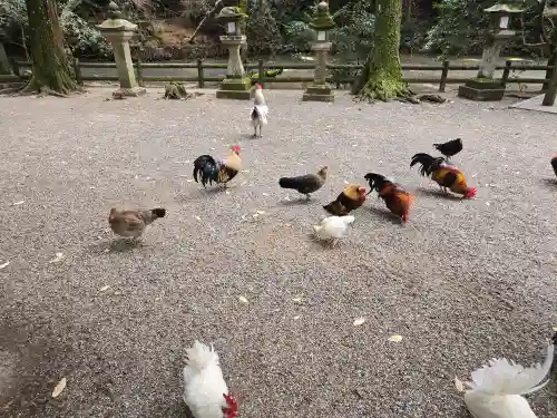 石上神宮(奈良県)