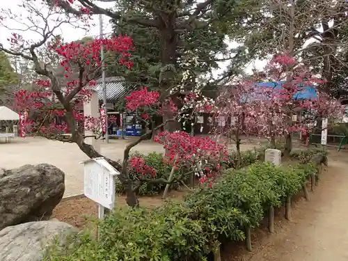 道明寺天満宮の庭園