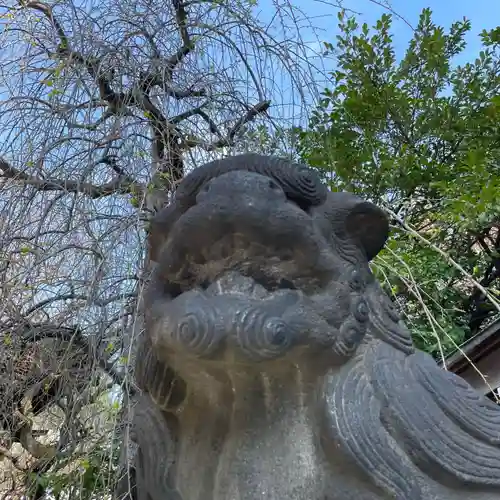 牛天神北野神社の狛犬