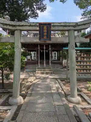射楯兵主神社(兵庫県)