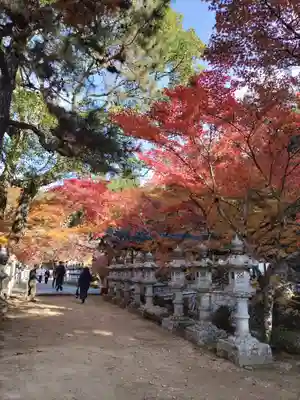 佛通寺(広島県)