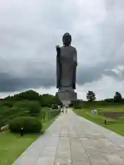 東本願寺本廟 牛久浄苑（牛久大仏）の仏像