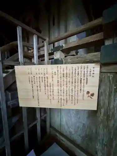 賀茂神社(京都府)