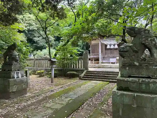 國坂神社の狛犬