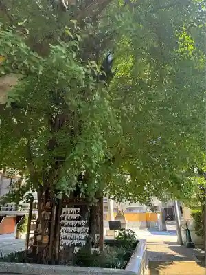 飛木稲荷神社(東京都)