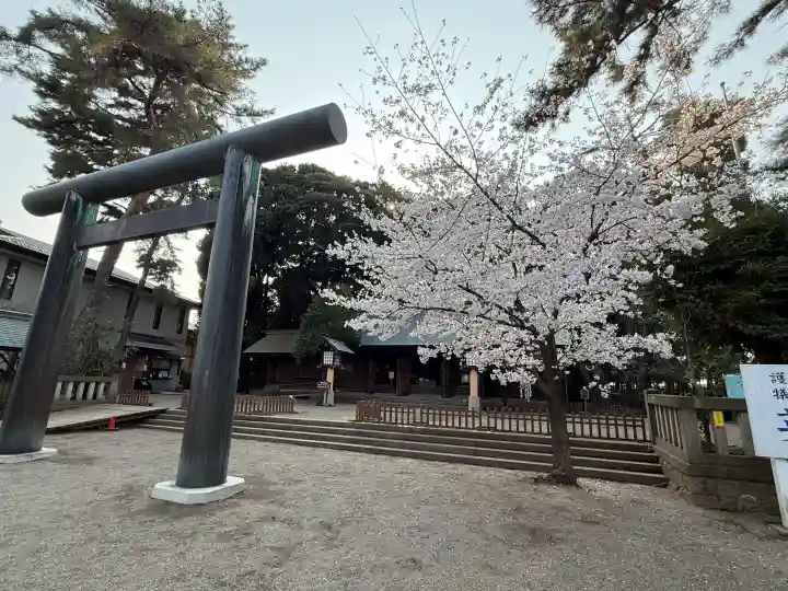 埼玉縣護國神社の{uncategorized: "未分類", other: "その他", undefined: "問題あり", building: "その他建物", grave: "お墓", sacred_gate: "鳥居", guardian: "狛犬", statue: "像", buddha: "仏像", history: "歴史", nature: "自然", garden: "庭園", animal: "動物", pagoda: "塔", temizu: "手水舎", mountain_gate: "山門・神門", sanctuary: "本殿・本堂", subordinate: "末社・摂社", art: "芸術", scenery: "景色", jizo: "地蔵", ema: "絵馬", goshuin: "御朱印", omikuji: "おみくじ", items: "授与品その他", amulet: "お守り", goshuincho: "御朱印帳", eats: "食事", festival: "お祭り", votive_dance: "神楽", shichigosan: "七五三参", wedding: "結婚式", experience: "体験その他", initially: "初詣", around: "周辺", anti_infection: "感染症対策"}