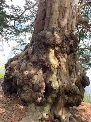 福島大神宮(北海道)