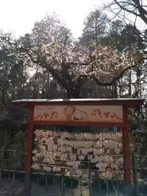 芳賀天満宮(栃木県)