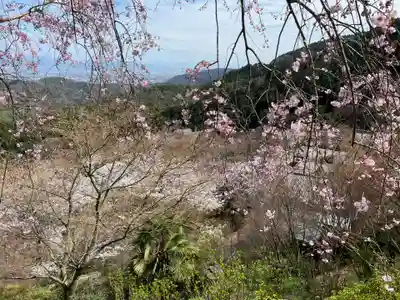 善峯寺(京都府)