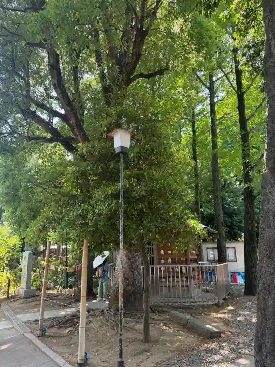 鳩森八幡神社の{uncategorized: "未分類", other: "その他", undefined: "問題あり", building: "その他建物", grave: "お墓", sacred_gate: "鳥居", guardian: "狛犬", statue: "像", buddha: "仏像", history: "歴史", nature: "自然", garden: "庭園", animal: "動物", pagoda: "塔", temizu: "手水舎", mountain_gate: "山門・神門", sanctuary: "本殿・本堂", subordinate: "末社・摂社", art: "芸術", scenery: "景色", jizo: "地蔵", ema: "絵馬", goshuin: "御朱印", omikuji: "おみくじ", items: "授与品その他", amulet: "お守り", goshuincho: "御朱印帳", eats: "食事", festival: "お祭り", votive_dance: "神楽", shichigosan: "七五三参", wedding: "結婚式", experience: "体験その他", initially: "初詣", around: "周辺", anti_infection: "感染症対策"}